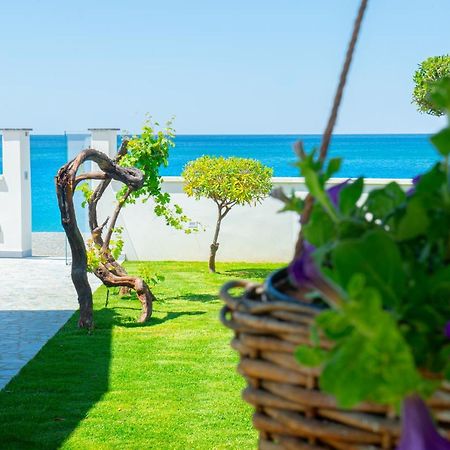 Mbaccimari B&B チェトラーロ エクステリア 写真