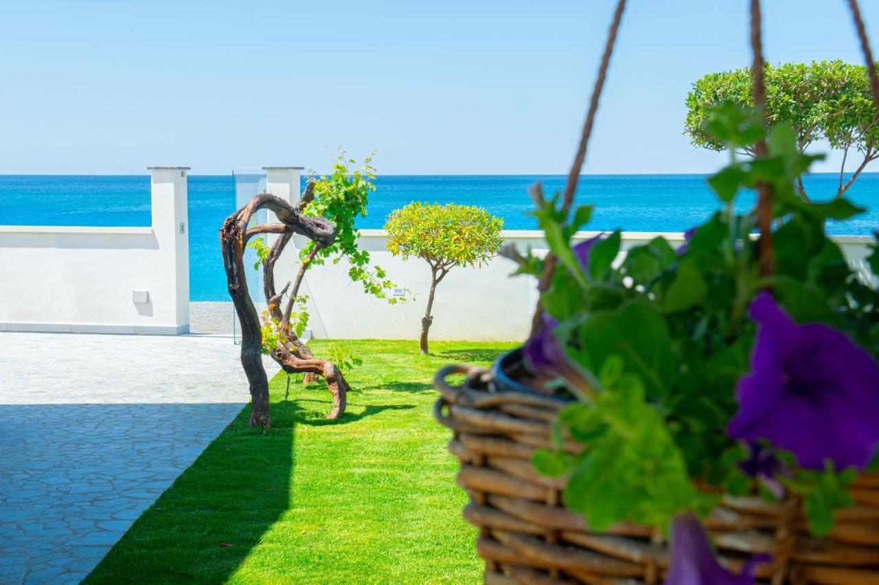 Mbaccimari B&B チェトラーロ エクステリア 写真